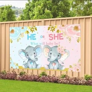 Gender reveal backdrop **SOLD**